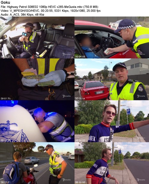 299608806_highway-patrol-s08e02-1080p-hevc-x265-megusta.jpg