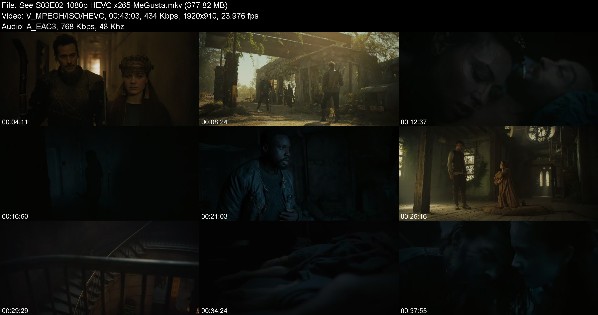 303519354_see-s03e02-1080p-hevc-x265-megusta.jpg
