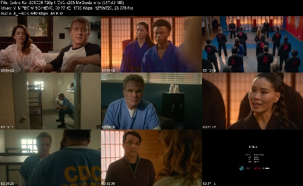 304733982_cobra-kai-s05e06-720p-hevc-x265-megusta.jpg