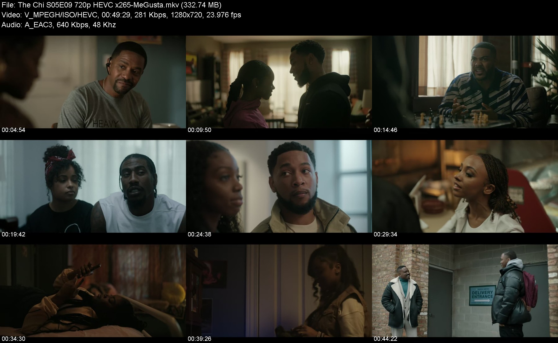 302325951_the-chi-s05e09-720p-hevc-x265-megusta.jpg