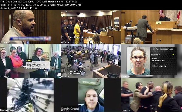 305937008_court-cam-s05e28-1080p-hevc-x265-megusta.jpg