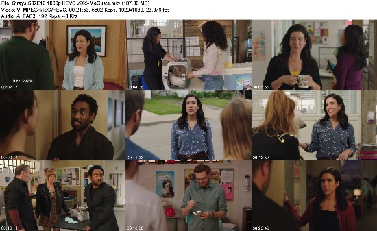 319254782_strays-s02e10-1080p-hevc-x265-megusta.jpg