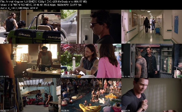 309364382_animal-kingdom-us-s04e10-1080p-hevc-x265-megusta.jpg