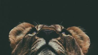 6c8d6351a63136c70854cac824eccf96.jpeg