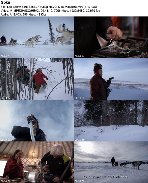 299961311_life-below-zero-s16e07-1080p-hevc-x265-megusta.jpg