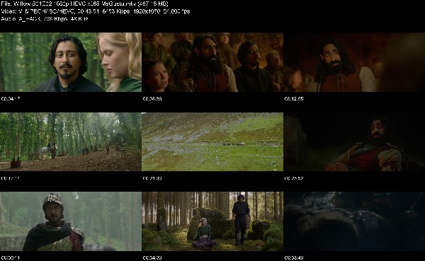 321297820_willow-s01e02-1080p-hevc-x265-megusta.jpg