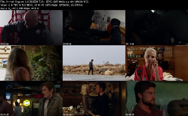 309362130_animal-kingdom-us-s03e08-720p-hevc-x265-megusta.jpg