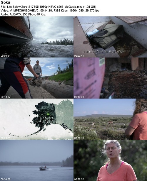 299993156_life-below-zero-s17e05-1080p-hevc-x265-megusta.jpg