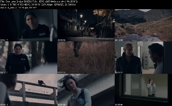 317402045_one-lane-bridge-s03e03-720p-hevc-x265-megusta.jpg