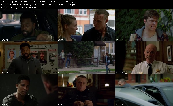 316297432_chicago-pd-s10e06-720p-hevc-x265-megusta.jpg
