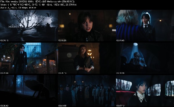 320356165_wednesday-s01e08-1080p-hevc-x265-megusta.jpg