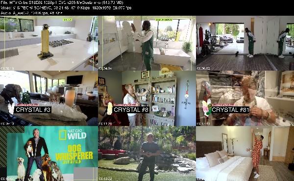 322335138_mtv-cribs-s19e09-1080p-hevc-x265-megusta.jpg