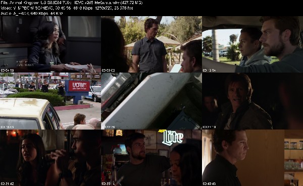 309363479_animal-kingdom-us-s03e04-720p-hevc-x265-megusta.jpg