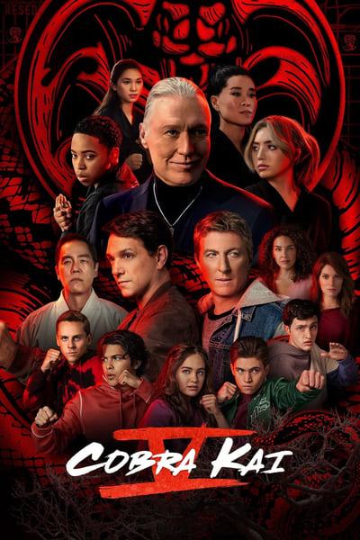 313578748_cobra-kai-s04e05-720p-hevc-x265-megusta.jpg