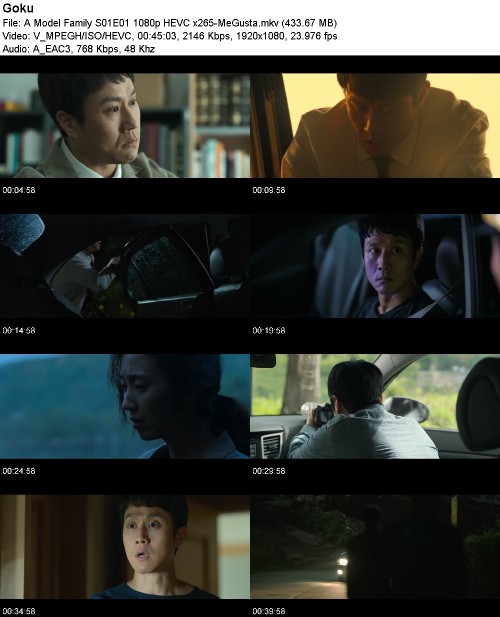 299596264_a-model-family-s01e01-1080p-hevc-x265-megusta.jpg