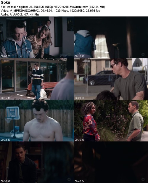 292855519_animal-kingdom-us-s06e05-1080p-hevc-x265-megusta.jpg