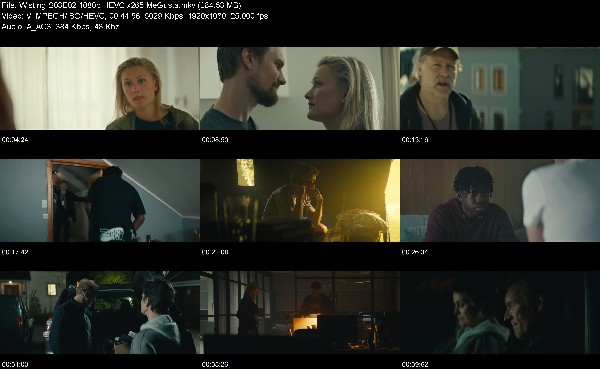 316079221_wisting-s03e02-1080p-hevc-x265-megusta.jpg