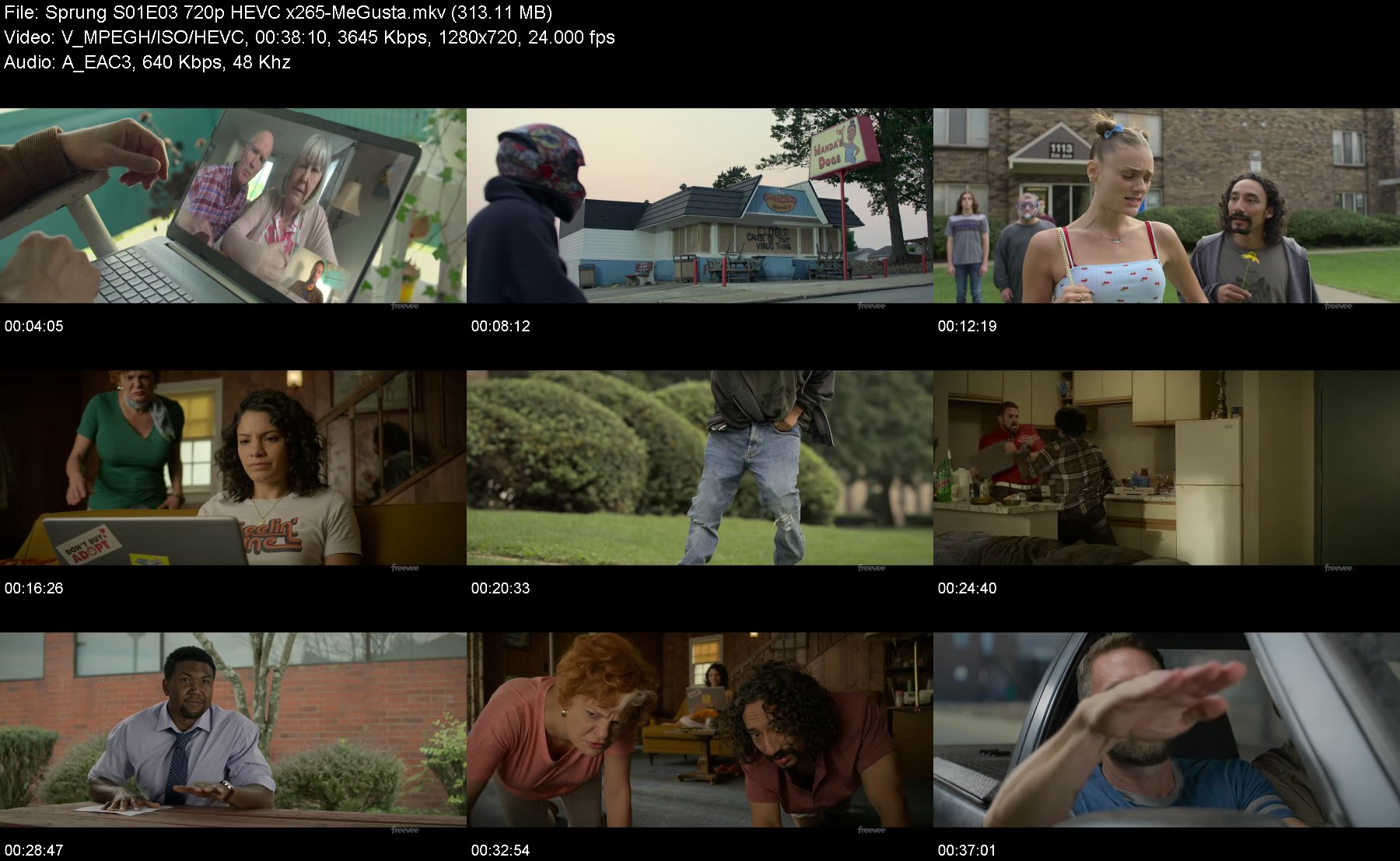 302294076_sprung-s01e03-720p-hevc-x265-megusta.jpg