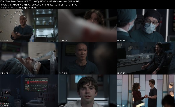 309858550_the-good-doctor-s06e01-1080p-hevc-x265-megusta.jpg