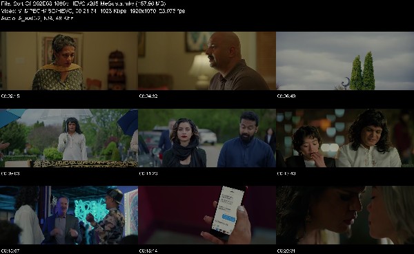 321275233_sort-of-s02e08-1080p-hevc-x265-megusta.jpg