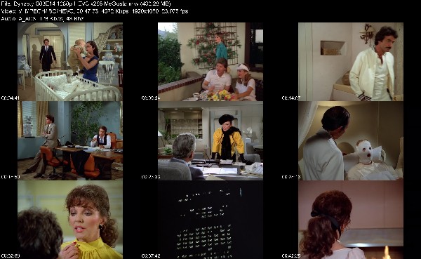 320190204_dynasty-s03e14-1080p-hevc-x265-megusta.jpg