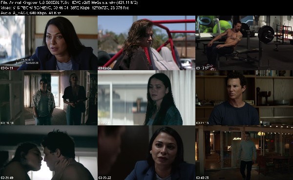320354815_animal-kingdom-us-s06e09-720p-hevc-x265-megusta.jpg