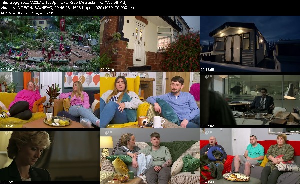 320675060_gogglebox-s20e12-1080p-hevc-x265-megusta.jpg