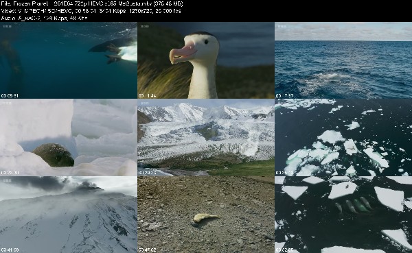 309572113_frozen-planet-ii-s01e04-720p-hevc-x265-megusta.jpg