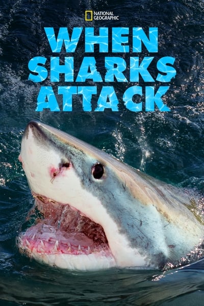 310555326_when-sharks-attack-s08e04-1080p-hevc-x265-megusta.jpg