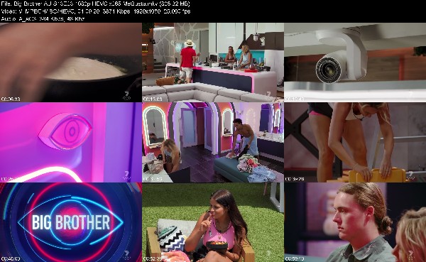 314684117_big-brother-au-s13e23-1080p-hevc-x265-megusta.jpg
