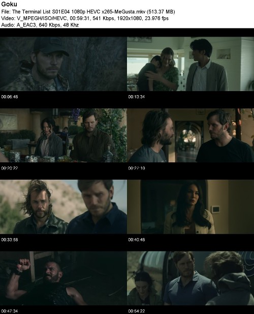 292413296_the-terminal-list-s01e04-1080p-hevc-x265-megusta.jpg