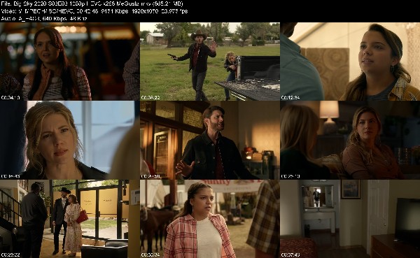 310378785_big-sky-2020-s03e03-1080p-hevc-x265-megusta.jpg