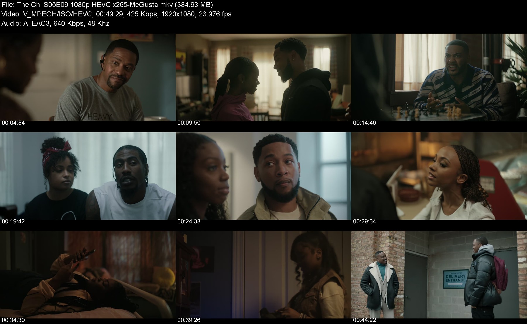 302338691_the-chi-s05e09-1080p-hevc-x265-megusta.jpg