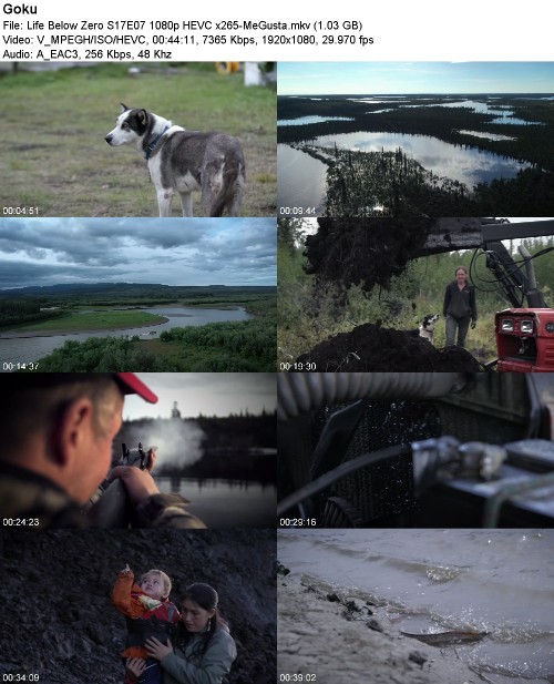 299991180_life-below-zero-s17e07-1080p-hevc-x265-megusta.jpg