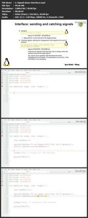 b65098599ab50eb67bc148bd11b459e3.jpeg
