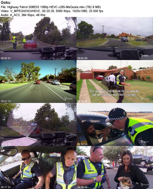 299609792_highway-patrol-s08e03-1080p-hevc-x265-megusta.jpg