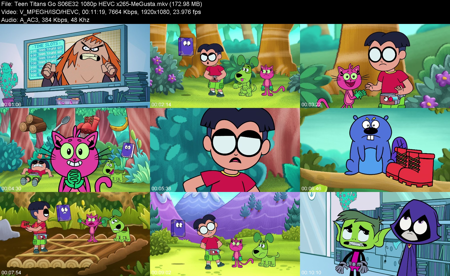 301822404_teen-titans-go-s06e32-1080p-hevc-x265-megusta.jpg