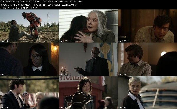 309412360_the-walking-dead-s11e18-720p-hevc-x265-megusta.jpg