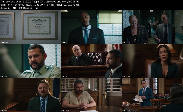 319445938_law-and-order-s22e08-720p-hevc-x265-megusta.jpg