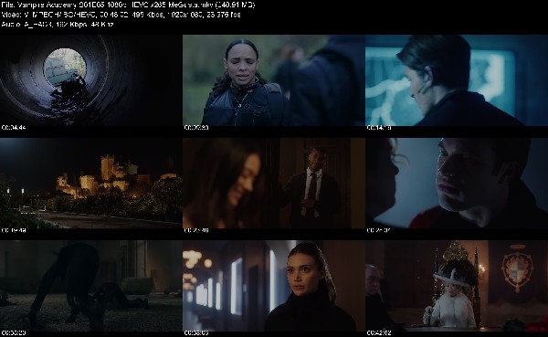 307477237_vampire-academy-s01e05-1080p-hevc-x265-megusta.jpg