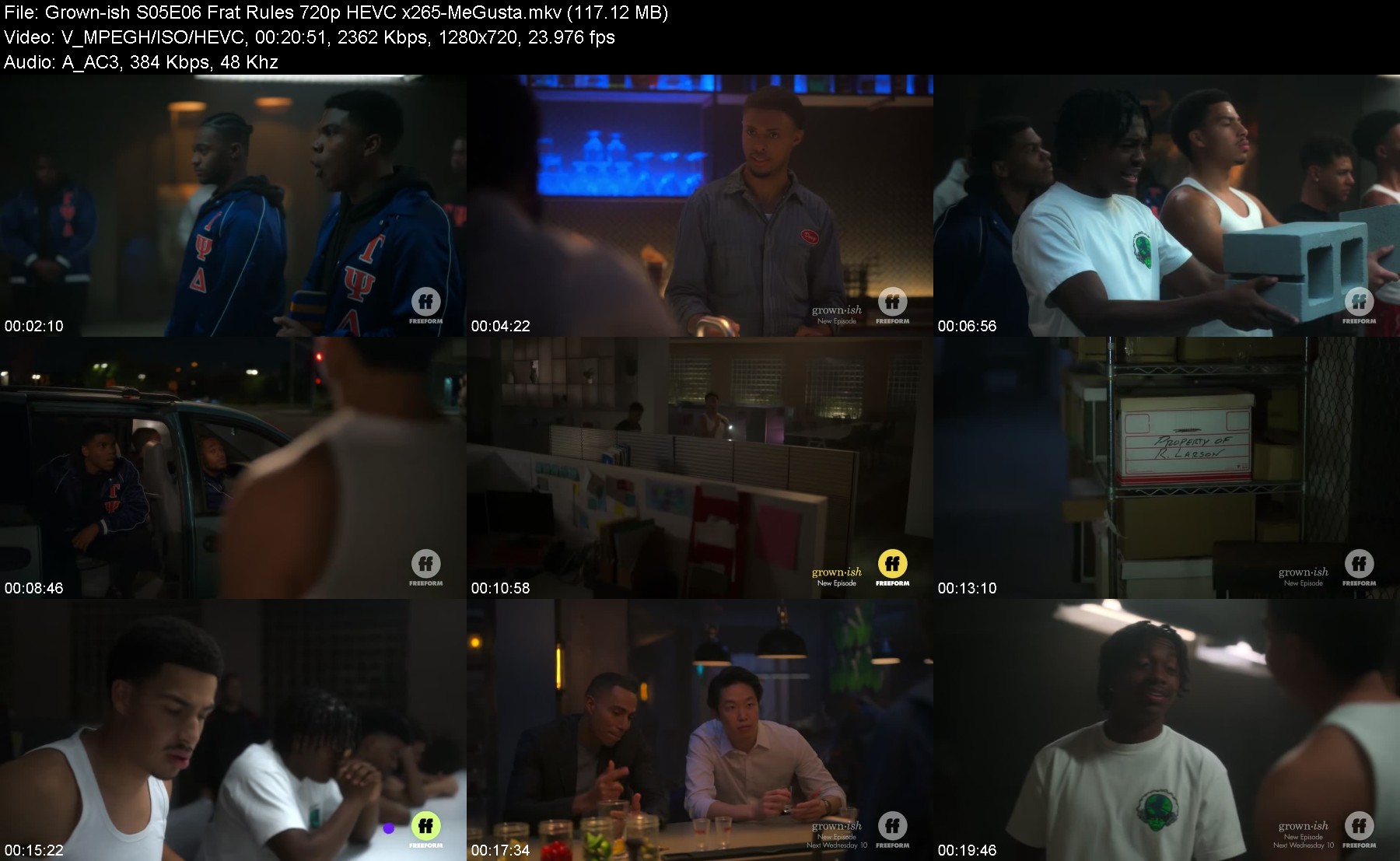 302170001_grown-ish-s05e06-frat-rules-720p-hevc-x265-megusta.jpg