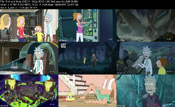 304796289_rick-and-morty-s06e01-1080p-hevc-x265-megusta.jpg