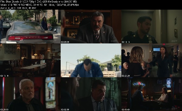 310845992_blue-bloods-s13e01-720p-hevc-x265-megusta.jpg