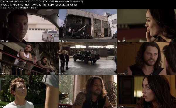 309362705_animal-kingdom-us-s03e11-720p-hevc-x265-megusta.jpg