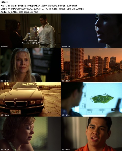 293184941_csi-miami-s02e13-1080p-hevc-x265-megusta.jpg