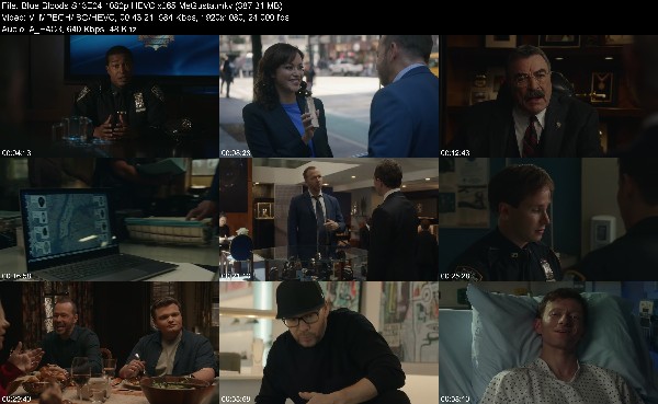 315406230_blue-bloods-s13e04-1080p-hevc-x265-megusta.jpg