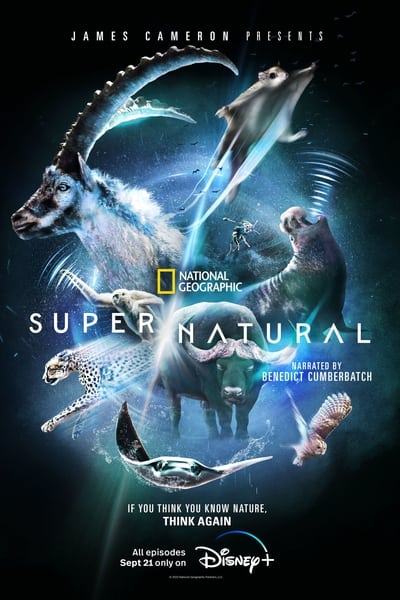 307274230_super-natural-s01e03-720p-hevc-x265-megusta.jpg