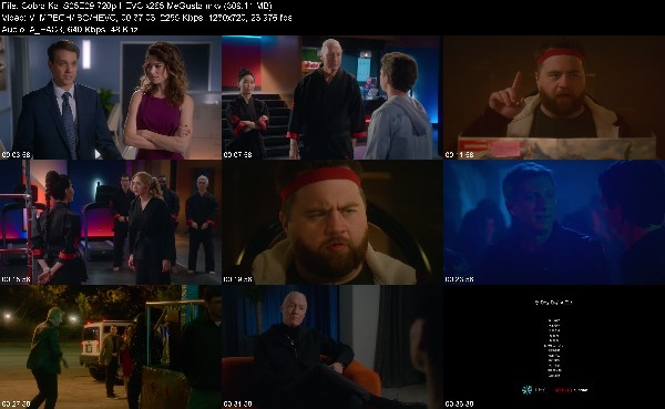 304828809_cobra-kai-s05e09-720p-hevc-x265-megusta.jpg