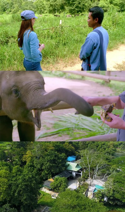290227707_elephant-hospital-s02e02-1080p-hevc-x265-megusta.jpg