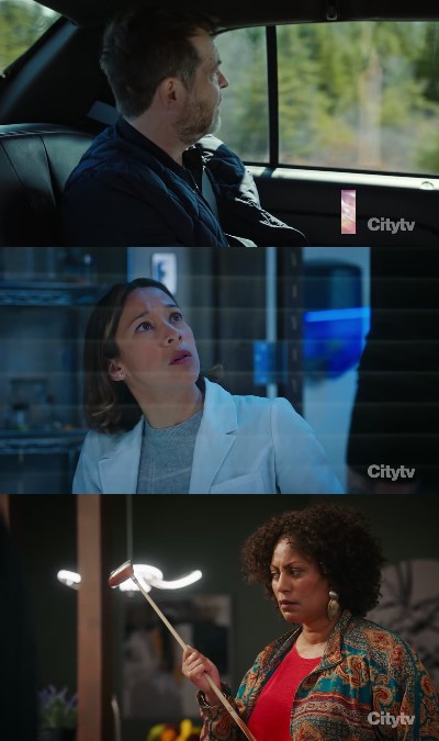 311468897_hudson-and-rex-s05e03-720p-hevc-x265-megusta.jpg